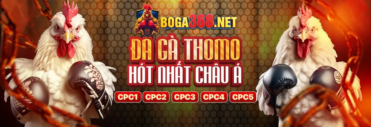 Tổng quan nền tảng f18678 info với các ưu điểm và đặc sắc nổi bật